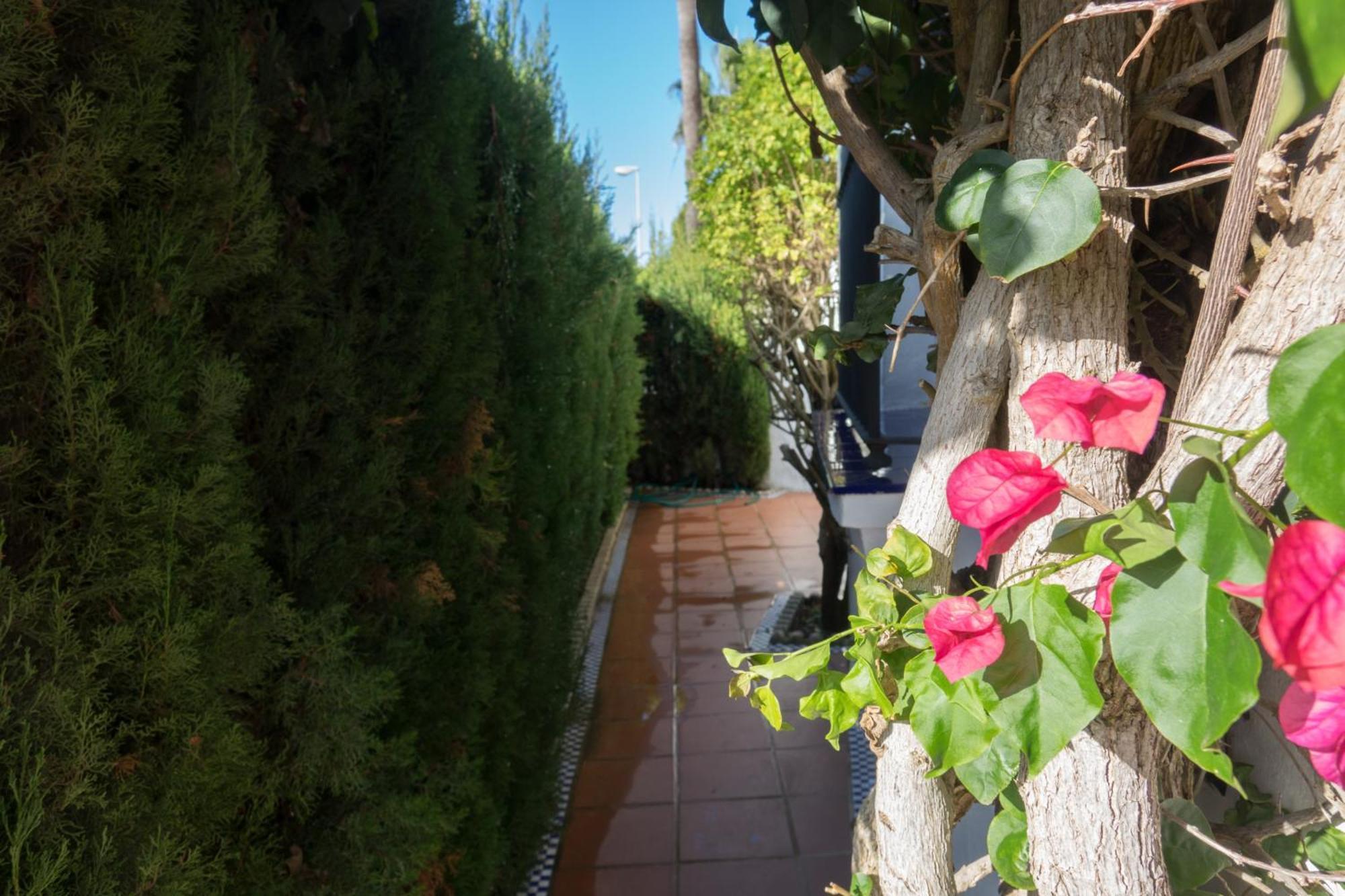 Apartamento Alextia La Barrosa Chiclana de la Frontera Eksteriør bilde